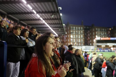 180926 - Wales Women v South Africa Women - Vodafone Wales WXV Series - Fans
