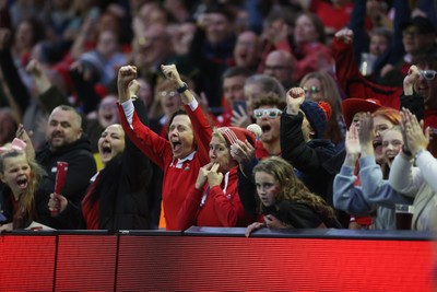 180926 - Wales Women v South Africa Women - Vodafone Wales WXV Series - Fans