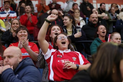 180926 - Wales Women v South Africa Women - Vodafone Wales WXV Series - Fans