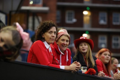 180926 - Wales Women v South Africa Women - Vodafone Wales WXV Series - Fans