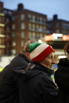 180926 - Wales Women v South Africa Women - Vodafone Wales WXV Series - Fans