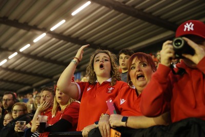 180926 - Wales Women v South Africa Women - Vodafone Wales WXV Series - Fans
