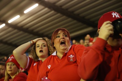 180926 - Wales Women v South Africa Women - Vodafone Wales WXV Series - Fans