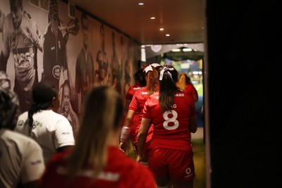 180926 - Wales Women v South Africa Women - Vodafone Wales WXV Series - Fans
