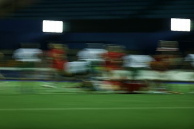 180926 - Wales Women v South Africa Women - Vodafone Wales WXV Series - Fans