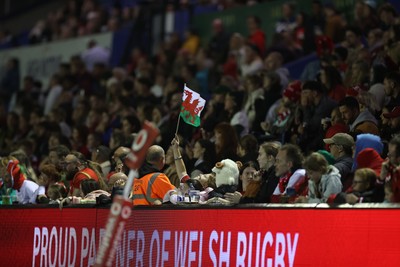 180926 - Wales Women v South Africa Women - Vodafone Wales WXV Series - Fans