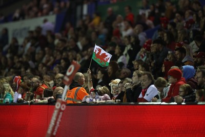 180926 - Wales Women v South Africa Women - Vodafone Wales WXV Series - Fans