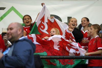 180926 - Wales Women v South Africa Women - Vodafone Wales WXV Series - Fans