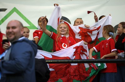 180926 - Wales Women v South Africa Women - Vodafone Wales WXV Series - Fans