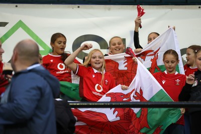 180926 - Wales Women v South Africa Women - Vodafone Wales WXV Series - Fans