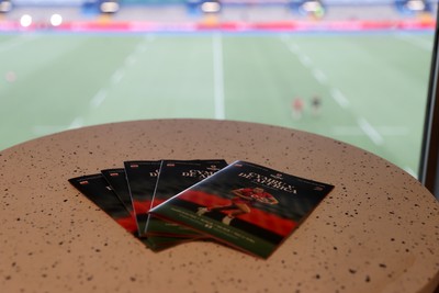 180926 - Wales Women v South Africa Women - Vodafone Wales WXV Series - Fans