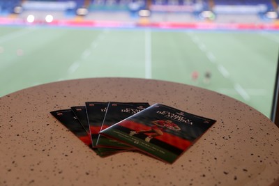180926 - Wales Women v South Africa Women - Vodafone Wales WXV Series - Fans