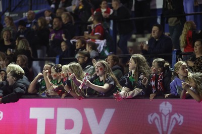 180926 - Wales Women v South Africa Women - Vodafone Wales WXV Series - Fans