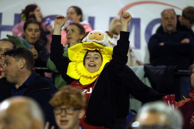 180926 - Wales Women v South Africa Women - Vodafone Wales WXV Series - Fans