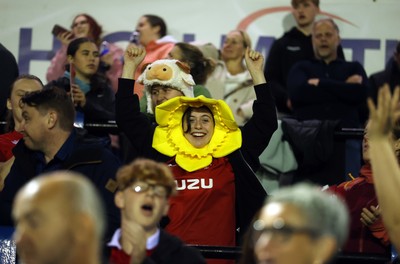 180926 - Wales Women v South Africa Women - Vodafone Wales WXV Series - Fans