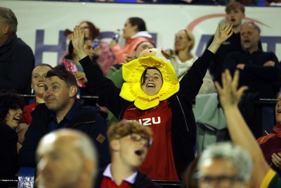 180926 - Wales Women v South Africa Women - Vodafone Wales WXV Series - Fans