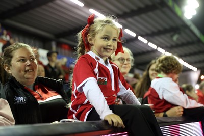 180926 - Wales Women v South Africa Women - Vodafone Wales WXV Series - Fans
