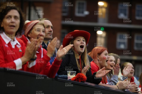 180926 - Wales Women v South Africa Women - Vodafone Wales WXV Series - Fans