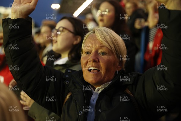 180926 - Wales Women v South Africa Women - Vodafone Wales WXV Series - Fans