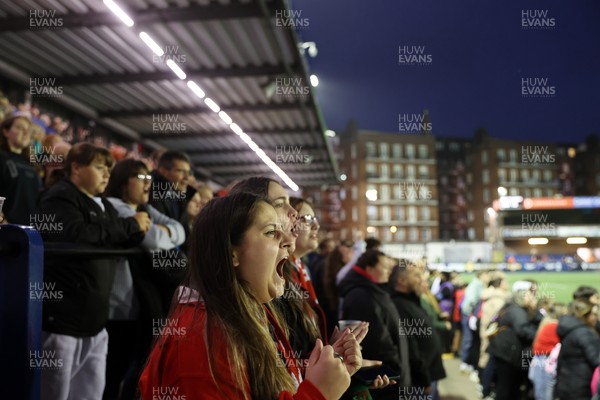 180926 - Wales Women v South Africa Women - Vodafone Wales WXV Series - Fans