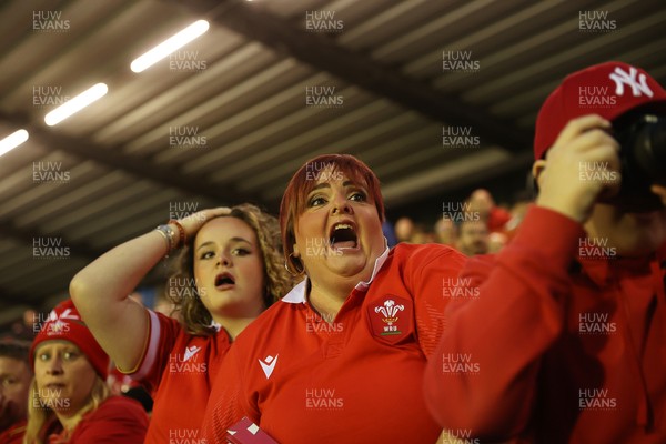 180926 - Wales Women v South Africa Women - Vodafone Wales WXV Series - Fans