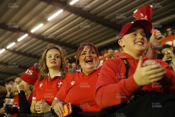180926 - Wales Women v South Africa Women - Vodafone Wales WXV Series - Fans