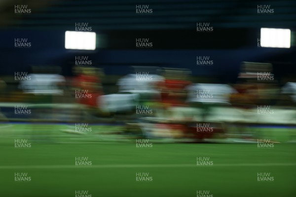 180926 - Wales Women v South Africa Women - Vodafone Wales WXV Series - Fans