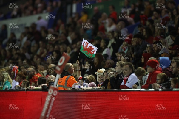 180926 - Wales Women v South Africa Women - Vodafone Wales WXV Series - Fans