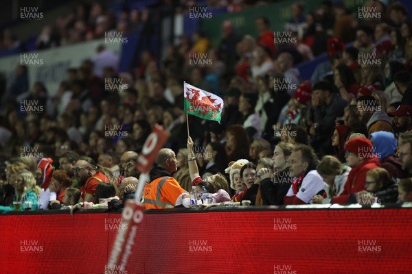 180926 - Wales Women v South Africa Women - Vodafone Wales WXV Series - Fans