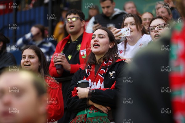 180926 - Wales Women v South Africa Women - Vodafone Wales WXV Series - Fans