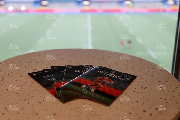 180926 - Wales Women v South Africa Women - Vodafone Wales WXV Series - Fans