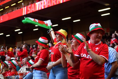 190823 - Wales v South Africa - Vodaphone Summer Series - Wales fans