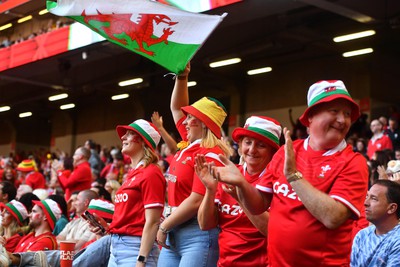 190823 - Wales v South Africa - Vodaphone Summer Series - Wales fans