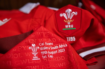 Wales v South Africa 190823