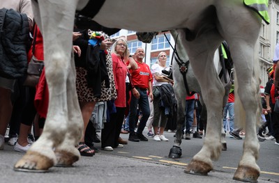 190823 - Wales v South Africa - Vodafone Summer Series - Fans watch as the Wales team walk into the stadium