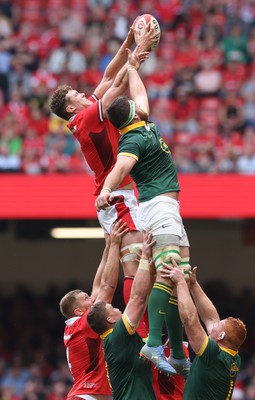 190823 - Wales v South Africa, Summer Nations Series 2023 - Will Rowlands of Wales wins line out