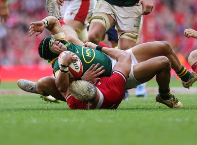 190823 - Wales v South Africa, Summer Nations Series 2023 - Cheslin Kolbe of South Africa is tackled by Johnny Williams of Wales