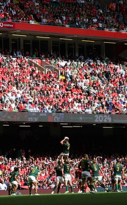 190823 - Wales v South Africa, Summer Nations Series 2023 - Jean Kleyn of South Africa claims the line out ball as the Principality Stadium crowd look on