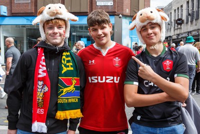 190823 - Wales v South Africa - Summer Series - Wales fans before the match