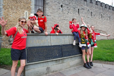 190823 - Wales v South Africa - Summer Series - Wales fans before the match