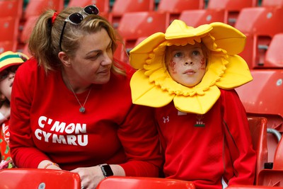 190823 - Wales v South Africa - Summer Series - Wales fans before the match