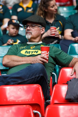 190823 - Wales v South Africa - Summer Series - A South Africa fan before the match