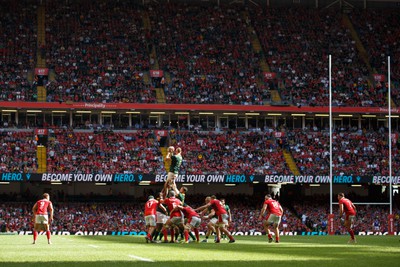 190823 - Wales v South Africa - Summer Series - South Africa win a line out