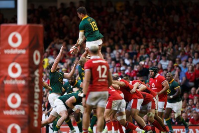 190823 - Wales v South Africa - Summer Series - Franco Mostert of South Africa wins a lineout