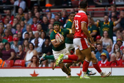 190823 - Wales v South Africa - Summer Series - Cheslin Kolbe of South Africa