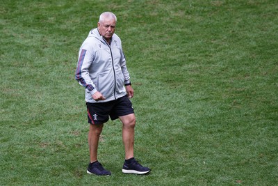 190823 - Wales v South Africa - Summer Series - Wales head coach Warren Gatland before the match