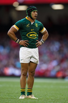 190823 - Wales v South Africa - Summer Series - Cheslin Kolbe of South Africa