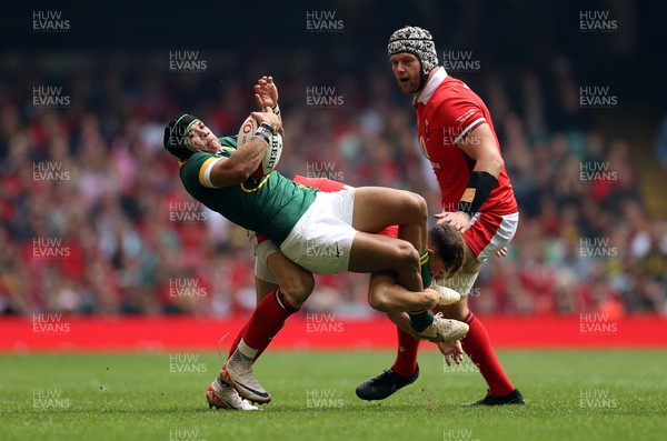 190823 - Wales v South Africa - Vodafone Summer Series - Cheslin Kolbe of South Africa is tackled by Tom Rogers of Wales 