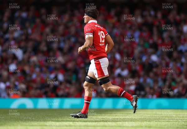 190823 - Wales v South Africa - Vodafone Summer Series - Teddy Williams of Wales comes on the field to win his first cap