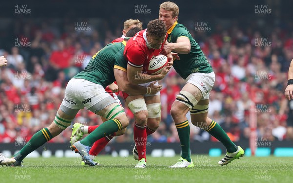 190823 - Wales v South Africa, Summer Nations Series 2023 - Will Rowlands of Wales charges forward